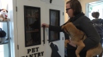 The BC SPCA tries to collect 90,000 kilograms of donated pet food annually. They're less than a third of the way to that total, as the mid-point of 2024 approaches. (CTV News)