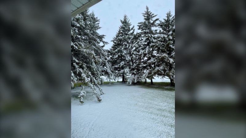 Some parts of Manitoba received more than 15 centimetres of snow, including areas like Brookdale, south of Riding Mountain National Park. (Doreen McLeod)