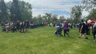 Over 200 people packed Northshore Park near Wascana Lake Sunday for Regina's annual MS Walk. (Angela Stewart/CTV News)