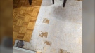 Ripped up floor tiles in Joel Felder and Misti Pitcher’s apartment. (Credit: Joel Felder)