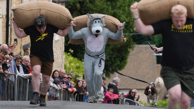 Joel Hicks, centre, dressed as a wolf and carrying a 60lb Woolsack runs with his dog Jessica during the annual Tetbury Woolsack Races in Tetbury, England, Monday, May 27, 2024. (Kin Cheung / AP Photo)