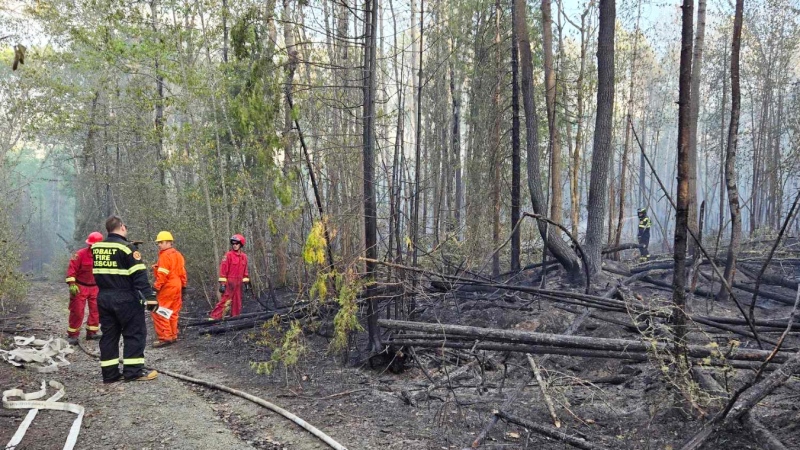 A photo of Ontario fire crews battling a wildfire burning three kilometres southeast of Cobalt, Ont. near the east shore of Kerr Lake on May 24, 2024. (Supplied/Richard J. Morrow)