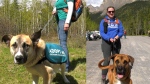 The Cochrane & Area Humane Society takes foster dogs hiking on Monday, May 27, 2024. 