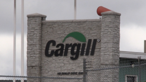 Cargill Dunlop facility in Guelph, Ont. on May 27, 2024. (Colton Wiens/CTV Kitchener)