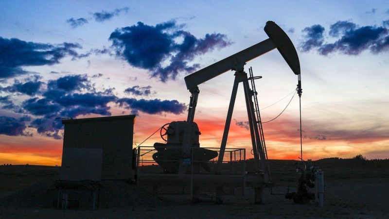 A pumpjack draws out oil from a well head near Calgary, Alta. (Jeff McIntosh/The Canadian Press)