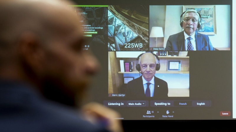 University professors appear as witnesses via video conference at a House of Commons standing committee on May 27, 2024. (Sean Kilpatrick/The Canadian Press)