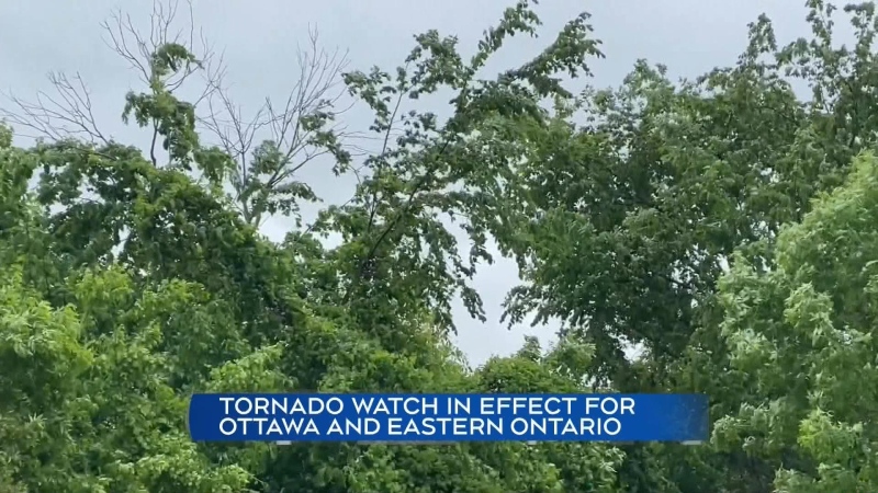 Tornado watch in effect for Ottawa