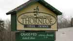 New hope for Thornloe Cheese reopening