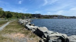 The Dartmouth Cove is pictured. (Stephanie Tsicos/CTV Atlantic)
