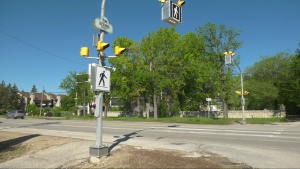 A crosswalk at Strood Avenue and Henderson Highway on May 27, 2024. (Alexandra Holyk/CTV News Winnipeg)