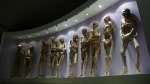Mummies are displayed in the Mummy Museum in Guanajuato, Mexico, Saturday, Nov. 1, 2008. (AP Photo/Daniel Jayo, File)