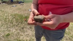 Students and staff with the University of Calgary's anthropology and archaeology department are halfway through an archaeological dig at the top of Nose Hill Park, finding evidence of stone circles and tools used by Indigenous people prior to contact with European settlers.