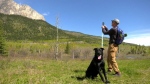 Foster dogs meet mountains for Hiking with Hounds