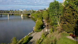 An aerial image of walking trails in the North Saskatchewan River valley in central Edmonton, with the Low Level and Walterdale bridges visible in the background, taken on May 24, 2024. (Cam Wiebe / CTV News Edmonton) 