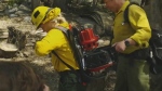 Many wildland firefighters are being given Mark 3 Watson portable pumps, equipment than can carry water from any water source to where its needed to fight a fire. (Supplied)