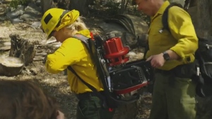 Many wildland firefighters are being given Mark 3 Watson portable pumps, equipment than can carry water from any water source to where its needed to fight a fire. (Supplied)