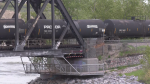 A train is stopped on a bridge in northwest Calgary following a collision with a pedestrian on May 28, 2024. (CTV News)