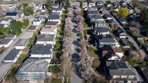 Cherry blossom trees line a residential street in Vancouver, on Tuesday, April 4, 2023. THE CANADIAN PRESS/Darryl Dyck