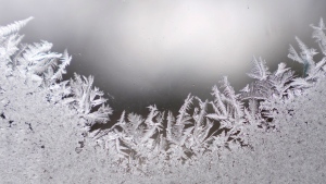 Frost forms on a window. (Source: AP Photo/Orlin Wagner)
