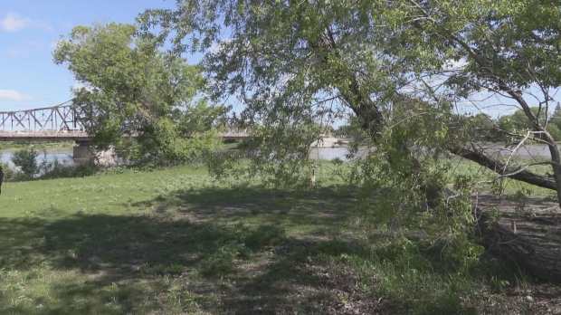 Point Douglas Park could be the site of a national urban park according to a group proposal. Seen on May 29, 2024 (CTV News/Jamie Dowsett) 