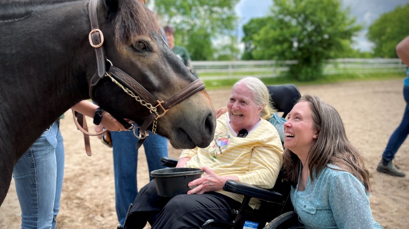 Carole Coulson prepares to ride a horse once again after her disabilities kept her away for many years. (Spencer Turcotte/CTV News)