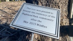 A plaque for a tree planted in memory of the 2023 Nova Scotia wildfire. (Source: James Kvammen/CTV News Atlantic)