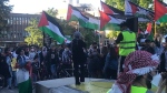 Rally in Waterloo on May 29, 2024 in support of people living in Gaza. (Dave Pettitt/CTV Kitchener)
