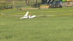 Glider pilot dies in crash south of Calgary