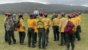Alberta wildfire crews training in the Edson area on May 25, 2024. (Source: Alberta Wildfire) 