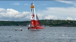 Teams train for SailGP competition in Halifax