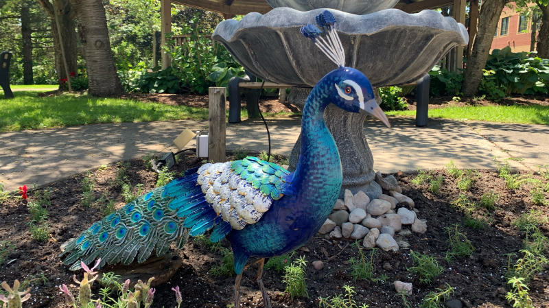 A garden ornament recently put up at Cedarwood Village in memory of Peter the Peacock. (Krista Simpson/CTV Kitchener)