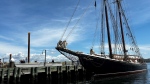 The Bluenose II schooner is pictured. (Source: Jonathan MacInnis/CTV News Atlantic)