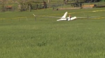 Pilot in fatal glider crash identified
