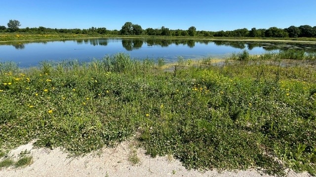 The sanitary lagoons in Amherstburg have transformed into new wetland with trails. May 31, 2024. (Chris Campbell/CTV News London)