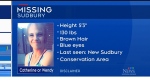 Ground search for missing Sudbury woman