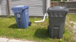 Garbage and recycling bins