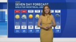 Lauren Fernandez presents the weather on May 31, 2024.