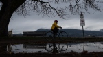 A person rides their bicycle in the rain at at Locarno Beach in Vancouver, B.C., Saturday, Nov. 11, 2023. (Ethan Cairns / The Canadian Press)