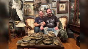Robert Baron and Karen Wilhelm collect thousands of antique items and share their hobby online. (Angela Stewart / CTV News) 