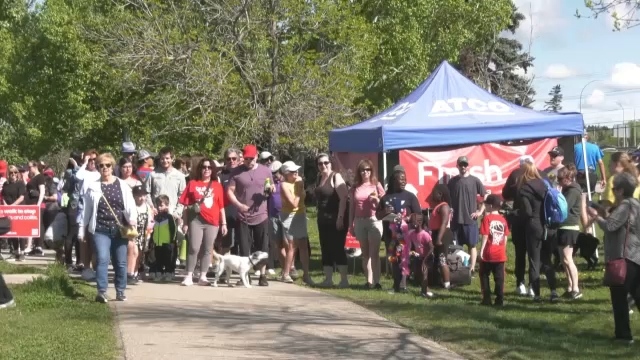 Hundreds of Calgarians participated in the Gutsy Walk Sunday, raising funds and awareness for Crohn's and Colitis