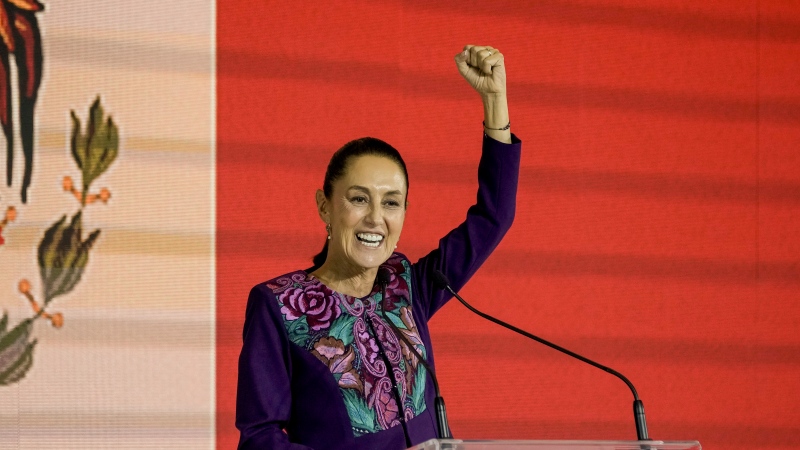 Ruling party presidential candidate Claudia Sheinbaum addresses supporters in Mexico City, early Monday, June 3. (AP Photo/Eduardo Verdugo)