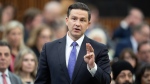 Leader of the Conservative Party Pierre Poilievre rises during Question Period, in Ottawa, Wednesday, May 22, 2024. THE CANADIAN PRESS/Adrian Wyld