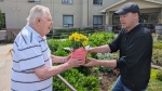 Conestoga Lodge resident Ron Mancer hands a pot of flowers to Executive Director Jon Vanasselt on June 3, 2024. (Dan Lauckner/CTV Kitchener)