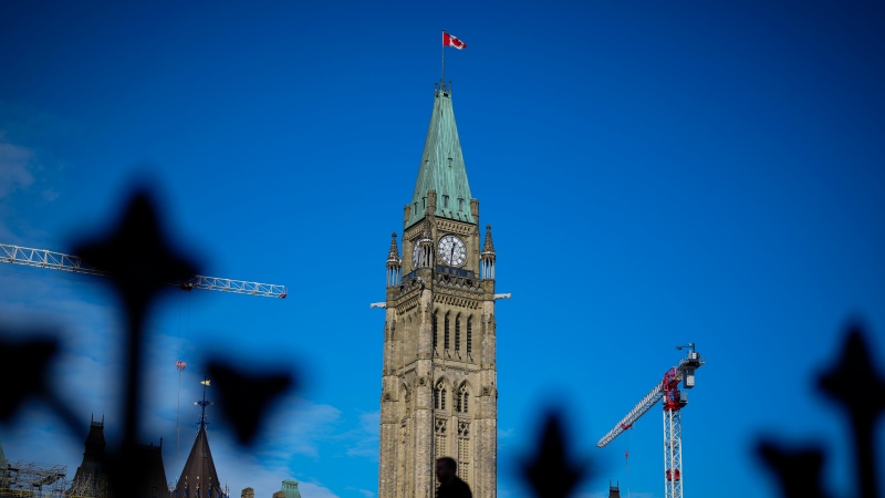 The National Security and Intelligence Committee of Parliamentarians says some MPs began 'wittingly assisting' foreign state actors soon after their election. (Sean Kilpatrick/The Canadian Press)