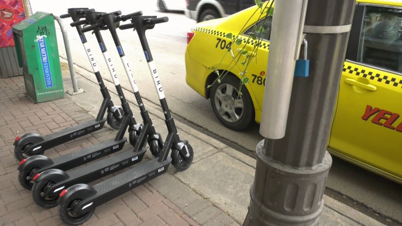 Bird e-scooters are lined up on an Edmonton sidewalk in an undated photo. (CTV News Edmonton)