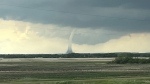 An apparent tornado touched down near Bawlf, Alta. on June 3, 2024. (Credit: Sonja McArthur)