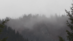 Rain clouds obscure views of the mountains near Squamish, B.C., on June 3, 2024. 