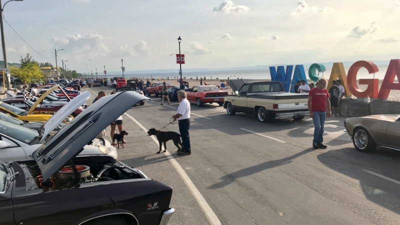 The Wasaga Beach Cruisers held their weekly gathering along the waterfront Monday as the club celebrates its 50th anniversary (Dave Sullivan/CTV News Barrie). 