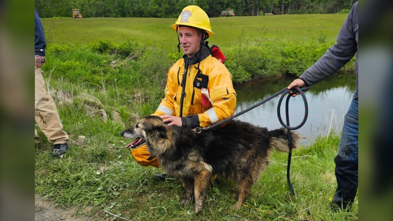 Wilson the dog and the fireman who rescued him from a storm drain in Kempt Shore, N.S. (Source: Facebook/Dennis F. Jones)