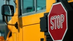 A school bus driver waits in a signal in Rolling Meadows, Ill., Monday, May 20, 2024. (AP Photo/Nam Y. Huh) 